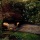 Ophelia de John Everett Millais, 1851-1852